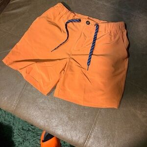 Chubbies Shorts